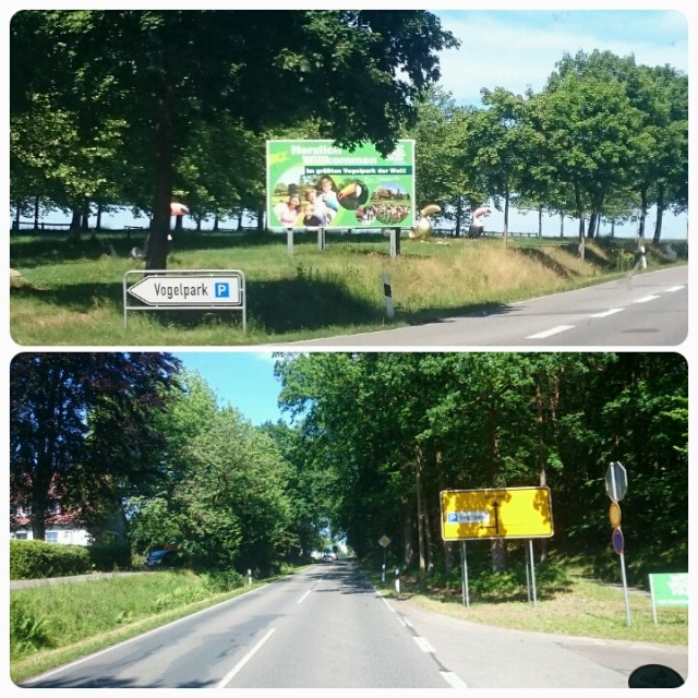 20150630_151747.jpg image