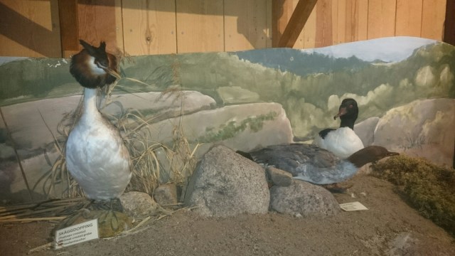 wp-1438632224291 image