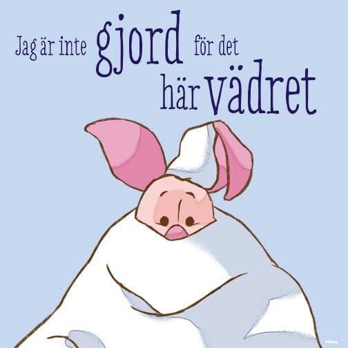 2014122818184693701070426_sbig