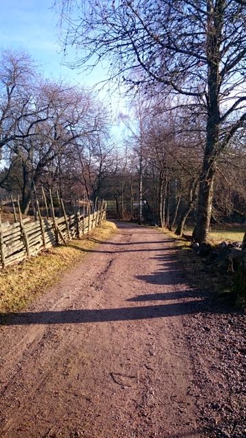 thumb_2016-02-07 10.32.08_1024