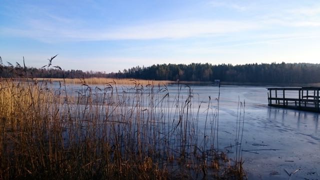 thumb_2016-02-07 10.42.30_1024