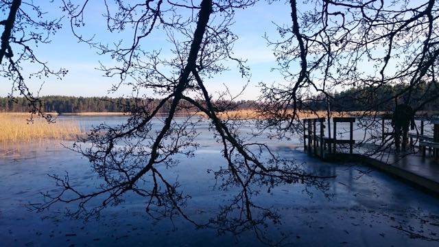 thumb_2016-02-07 10.43.13_1024