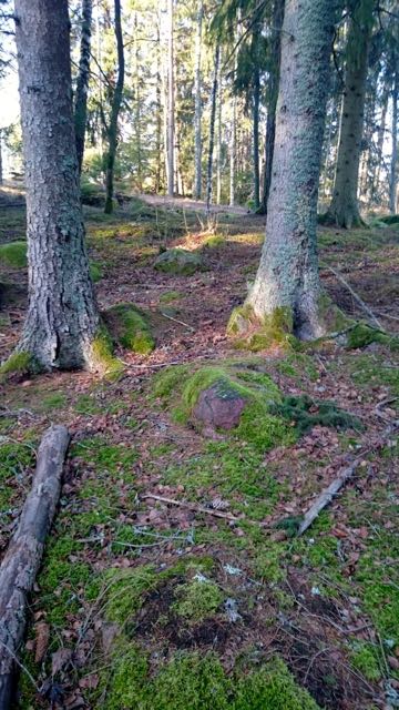 thumb_2016-02-07 10.52.32_1024