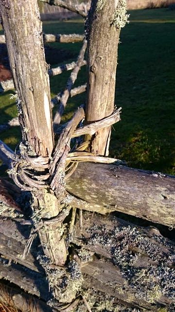 thumb_2016-02-07 11.04.28_1024