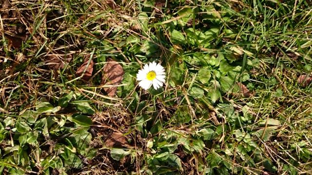 thumb_2016-02-07 11.47.17_1024