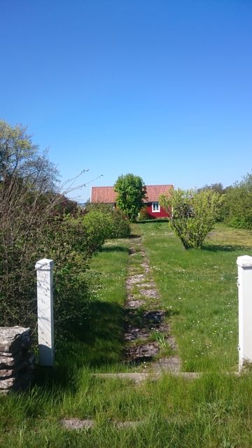 trädgård