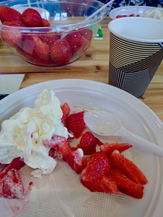 2018-06-03 13.48.19 (1)